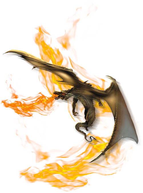 DRAGON